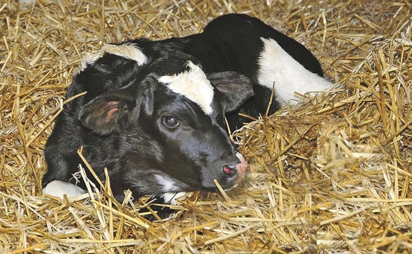 New findings in research on colostrum