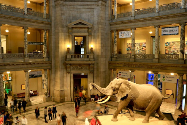 Trump orders removal of 'divisive' ideology from Smithsonian