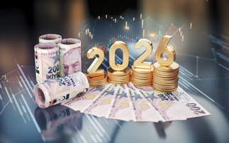 Partner Insight: Is 2026 the new 2006? Continue to pick your nickels, the steamroller remains far enough! 
