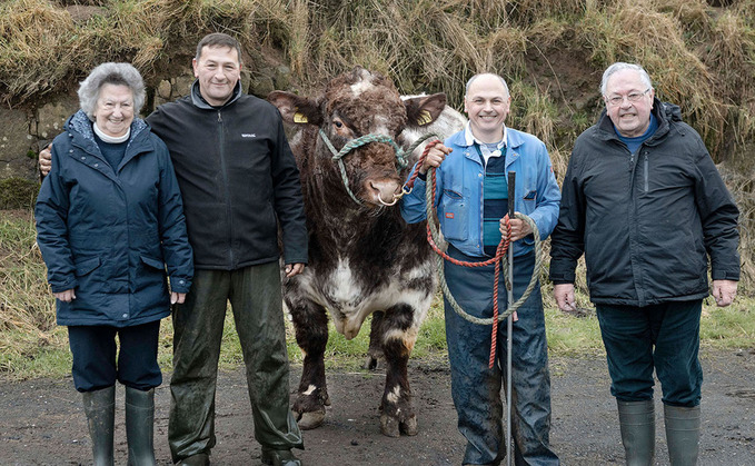 Consistency backbone to Clark family's pedigree bull sales