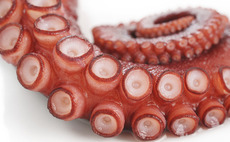 GED buys Spanish frozen food producer Discefa