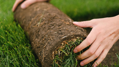 Critical mistakes for landscapers & gardeners to avoid during peak summer season