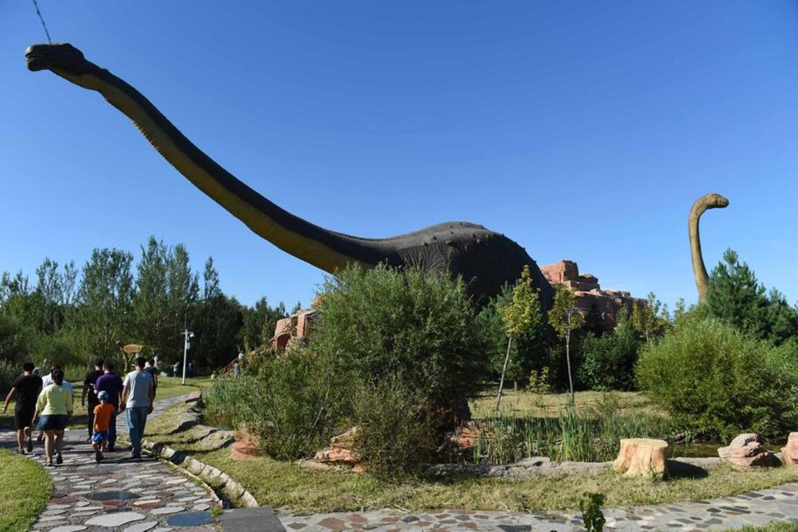China's "dinosaur hometown" emerges as global fossil research hub