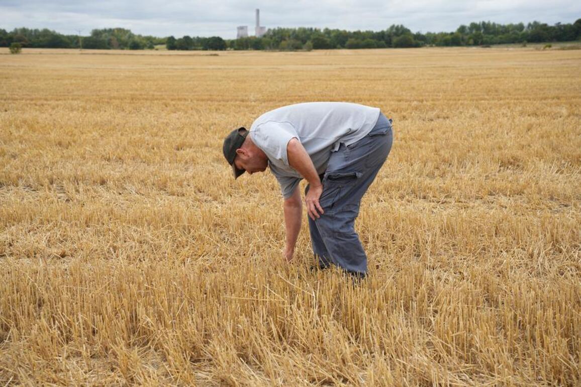 How English farmers cultivate hope amid uncertainty