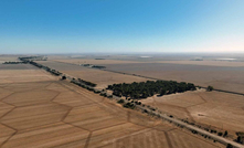 Thor Energy has identified hydrogen and helium potential in its large South Australian acreage.