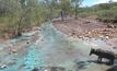 A dog from Chidna Station in a waterway polluted by leaked contaminants from the old Mt Oxide mine in Queensland.