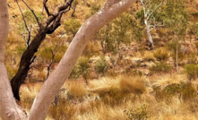 The Extension Iron Ore Project sits 270km southeast of Port Hedland.