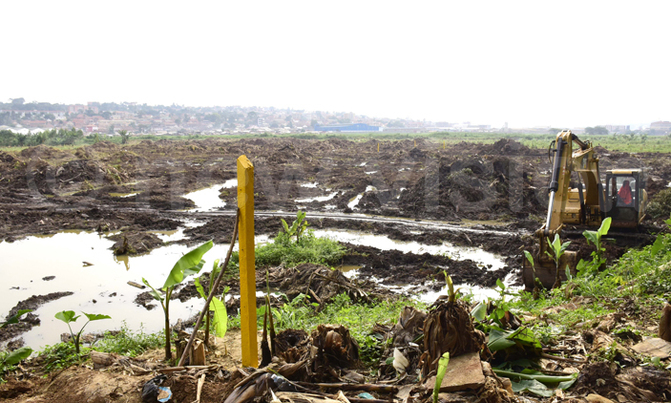 Investor clears Bugolobi wetland for warehouse Investor clears Bugolobi wetland for warehouse