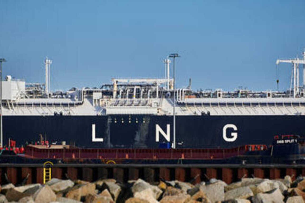 EU entrapped by reliance on US gas - Politico