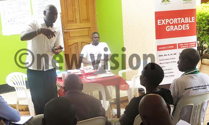 Coffee farmers tipped on collective marketing Coffee farmers tipped on collective marketing