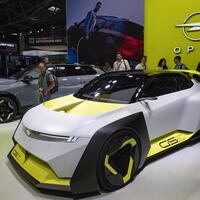 Openness, cooperation key to future of global auto industry, says auto expert