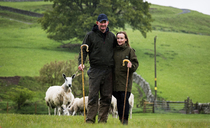Award-winning start at Royal Highland Show drives Falnash Bluefaced Leicester flock forward