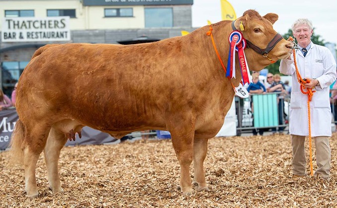 Home-bred Limousin takes the Bath and West champion title