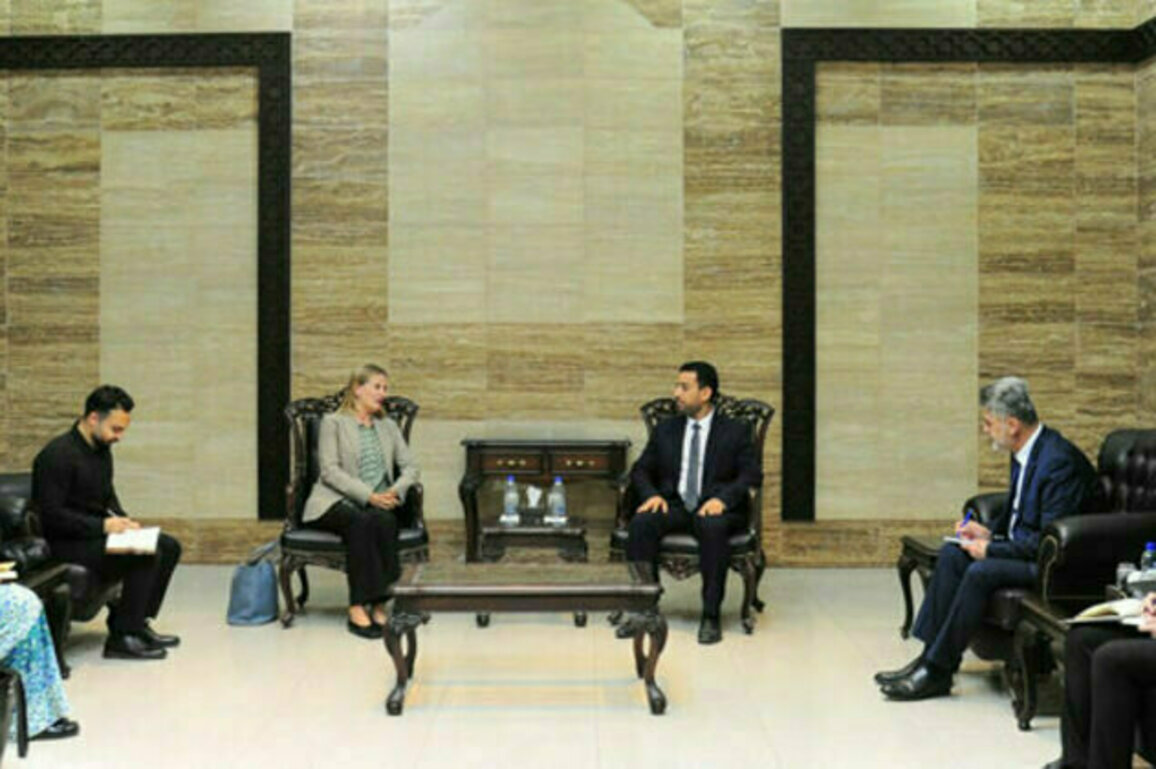 Syrian-Norwegian discussions to support the health sector in Syria