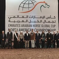 Emirates Arabian Horse Global Cup concludes in Scottsdale