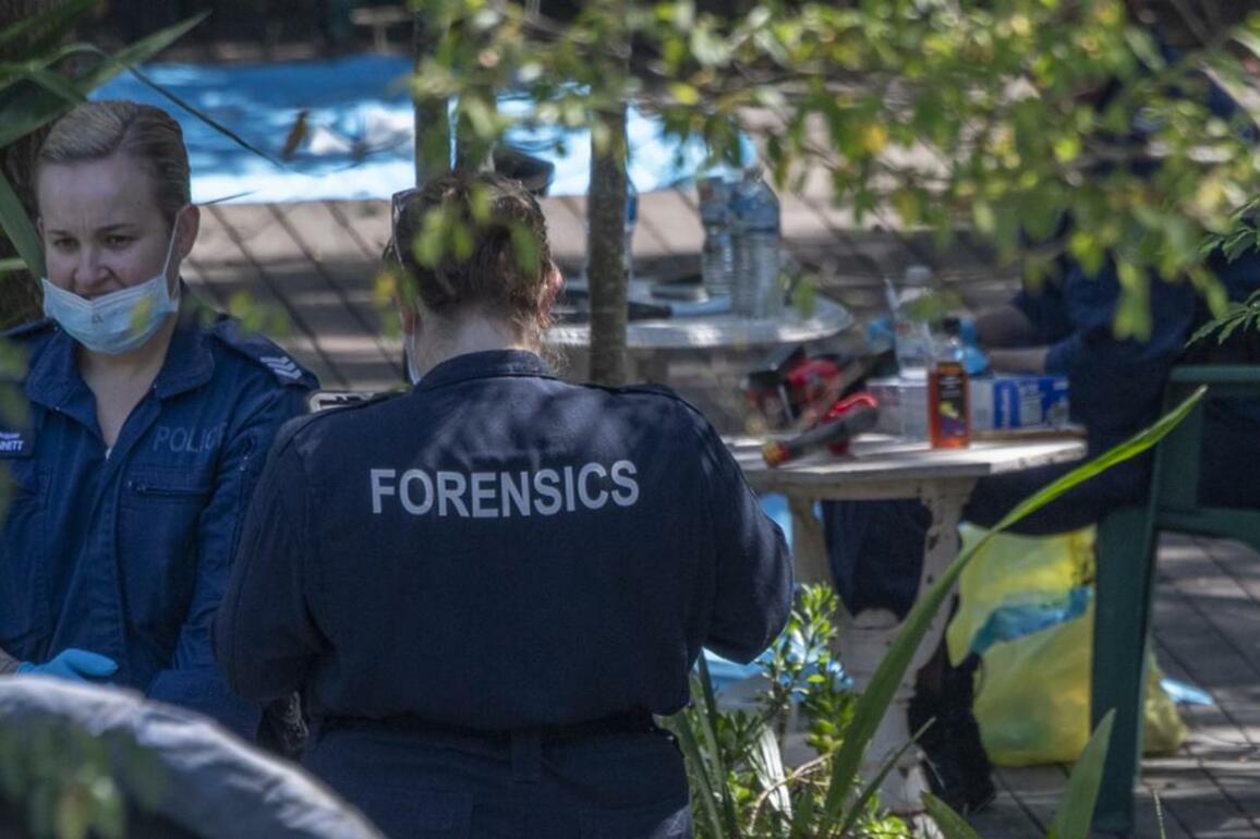 Man arrested after human remains found in bushland