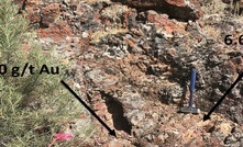 Gold Standard collected 70 rock samples from altered outcrops over a 400m-by-200m area at LT