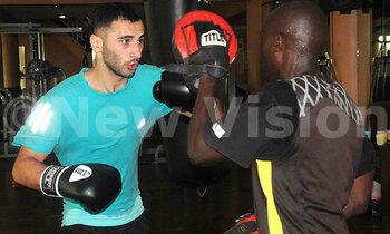 Russian boxer 350x210