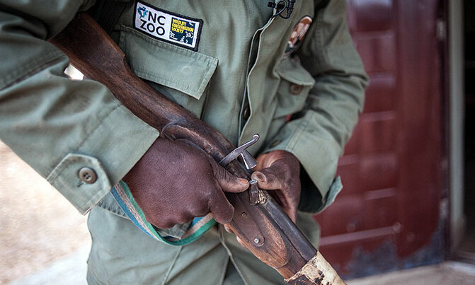 Defending Nigeria's last elephants against poachers Defending Nigeria's last elephants against poachers