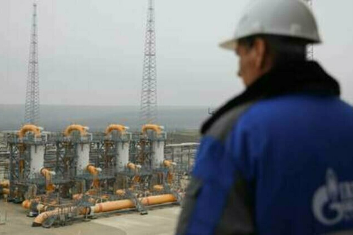 Kiev knowingly buying Russian gas - Ukrainian MP