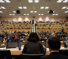 High Seas Treaty: UN member states seal historic deal to protect international waters