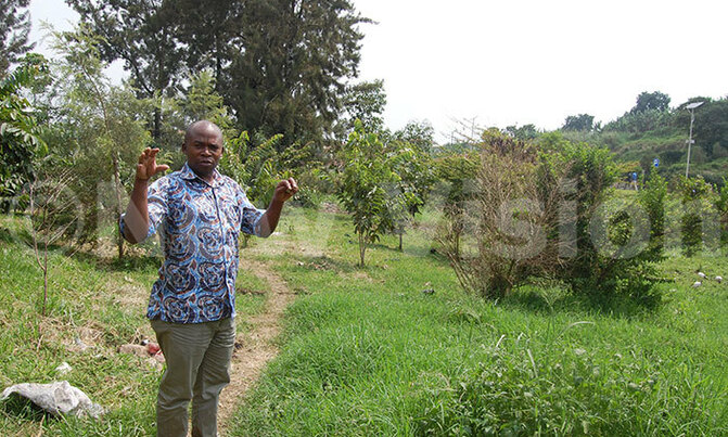 Kabarole communities embark on tree planting campaign Kabarole communities embark on tree planting campaign