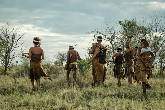 How did the patriarchy start - and will evolution get rid of it?