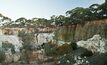  Lithium Australia's Lepidolite Hill quarry