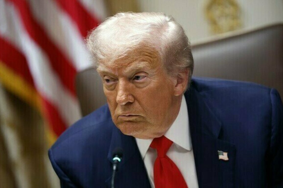Trump pushing EU to slap 500% tariffs on China  media