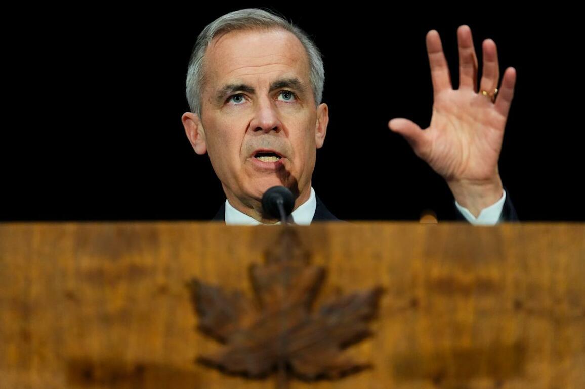 New Canadian leader says Trump will want trade talks as Americans suffer from trade war