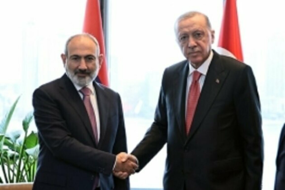 Erdogan to meet Pashinyan in Istanbul