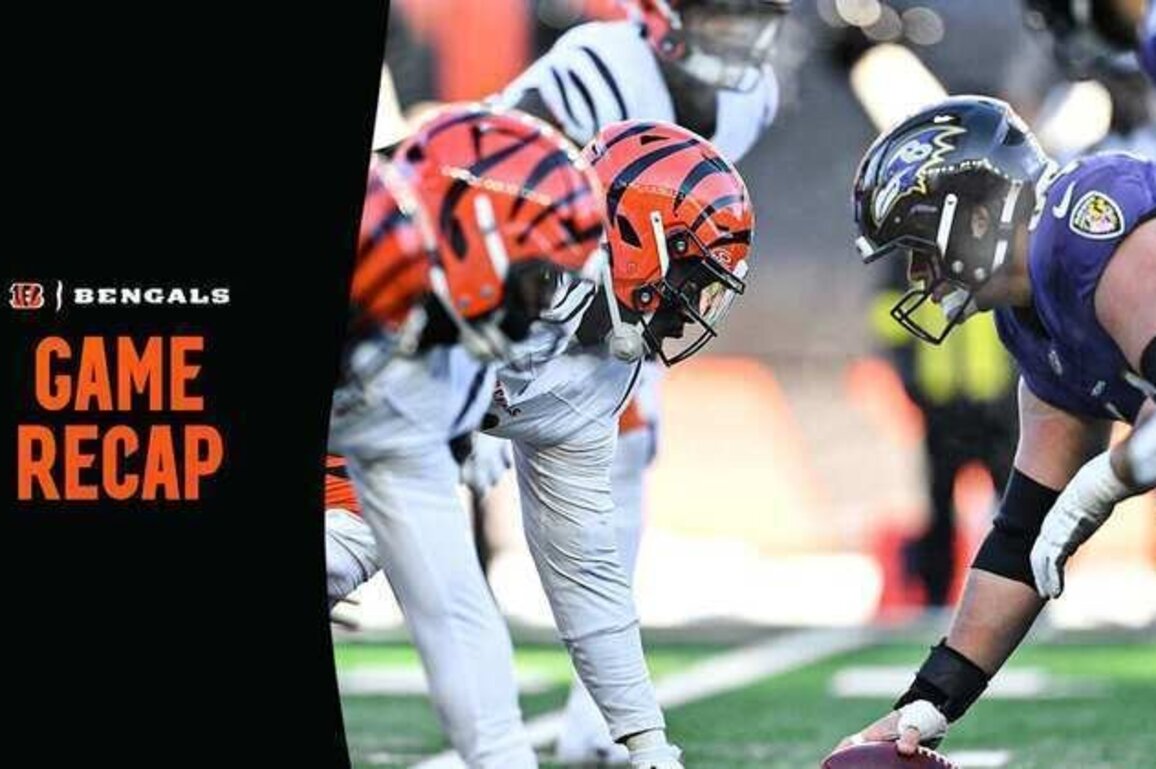 Bengals Lose to Ravens 24-0 | POSTGAME RECAP, NOTES & QUOTES