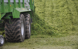 Partner Insight: Quality silage pivotal in maximising milk from forage