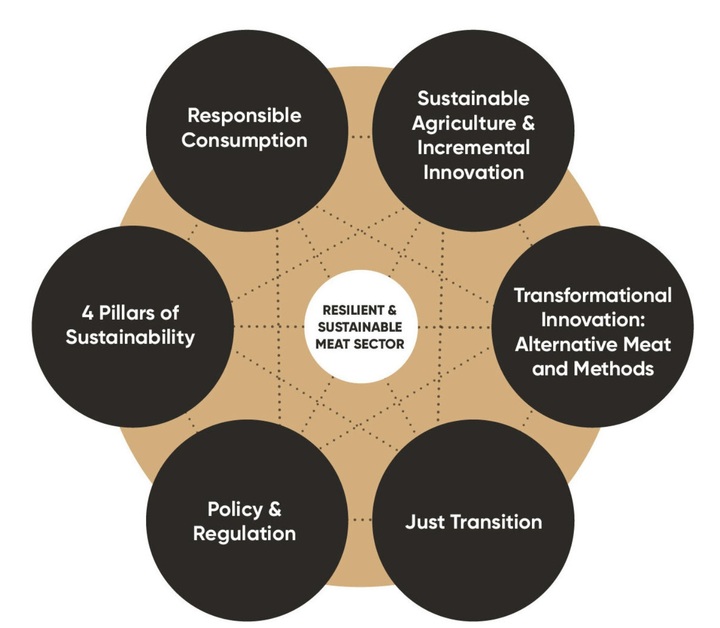 A diagram representing Aleph Farms' sustainability approach.