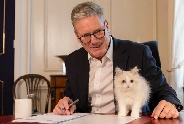 British PM condemned over Russian cat