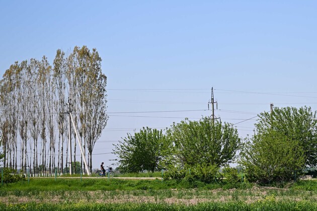 UZBEKISTAN-TASHKENT-SPRING-DAILY LIFE