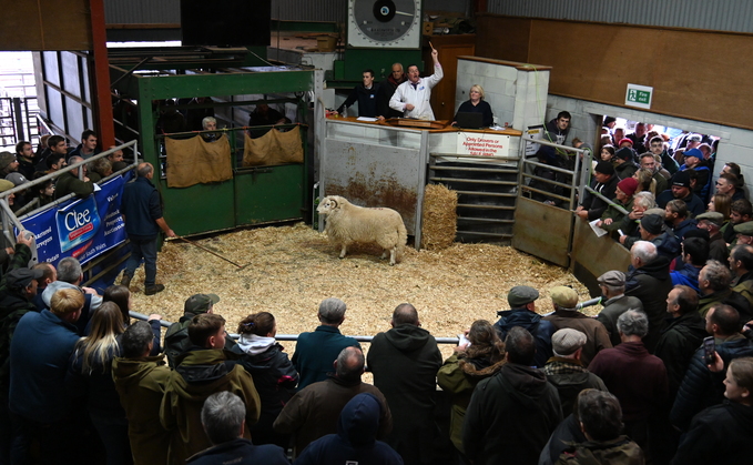 Talybont tups top at 16,000gns