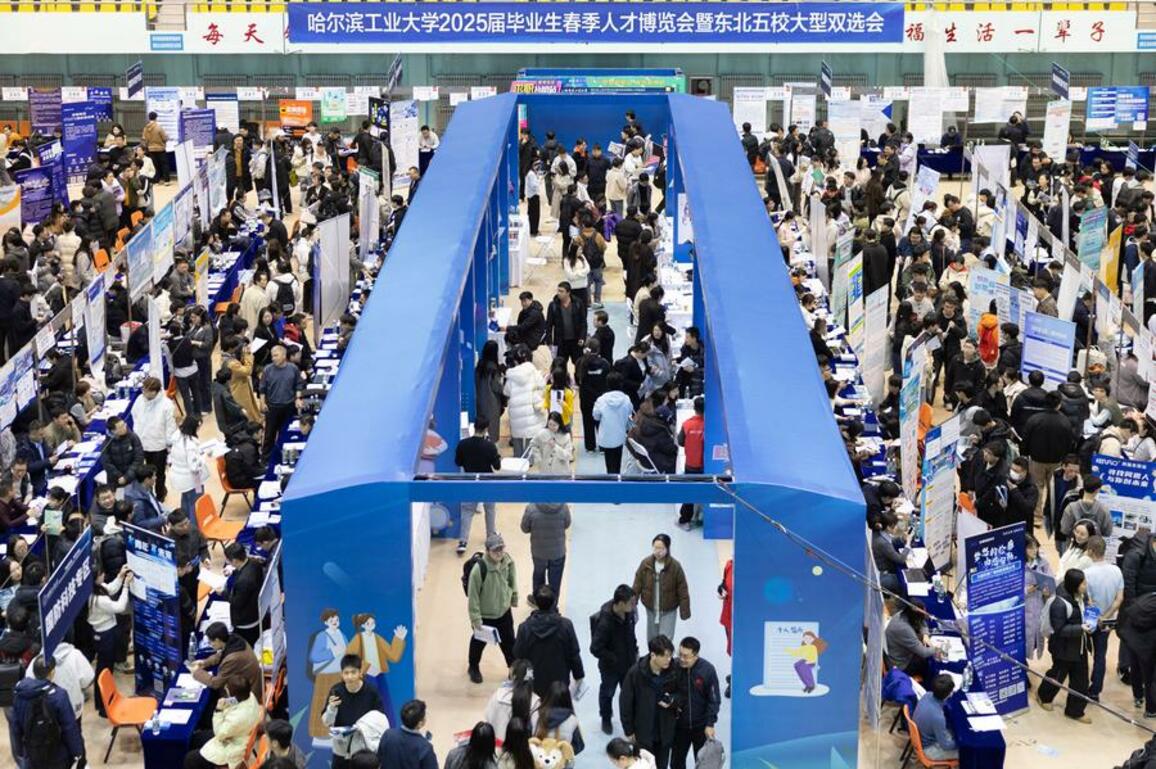Technology | AI-powered job fair held in NE China's Heilongjiang