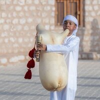 Wide Arab praise for Sharjah Heritage Days success