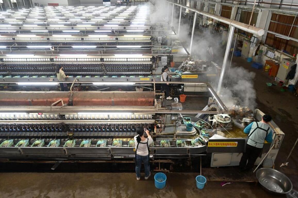 Update: China's industrial output up 4.9 pct in October