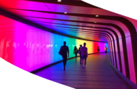 Isio's 2024 Professional Independent Trustee Survey