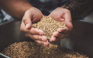 Carbon Removers secure £1m boost to expand sequestration projects across UK and Europe