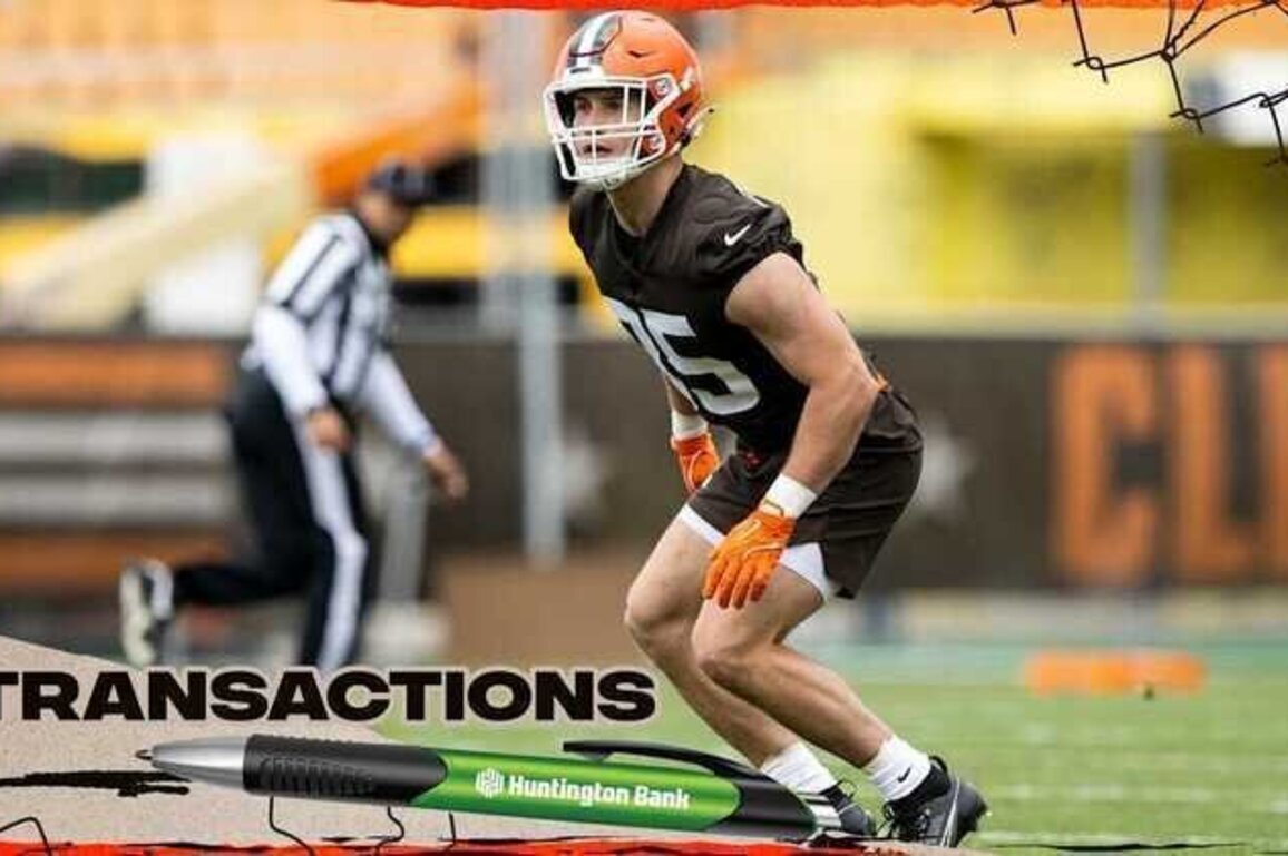 Browns sign WR Aaron Anderson, LB Reid Carrico and DE Markees Watts