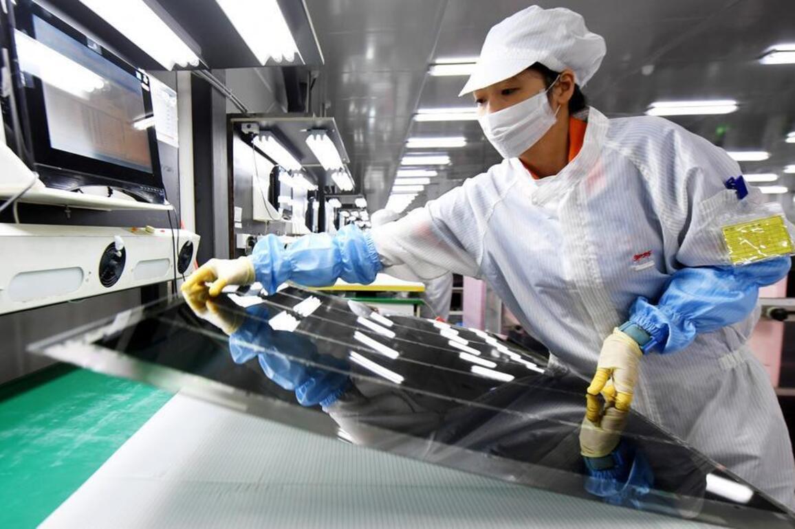 China's "little giants" expand global footprint through innovation