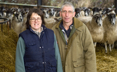 Sheep special: Sheep project helps focus on lameness