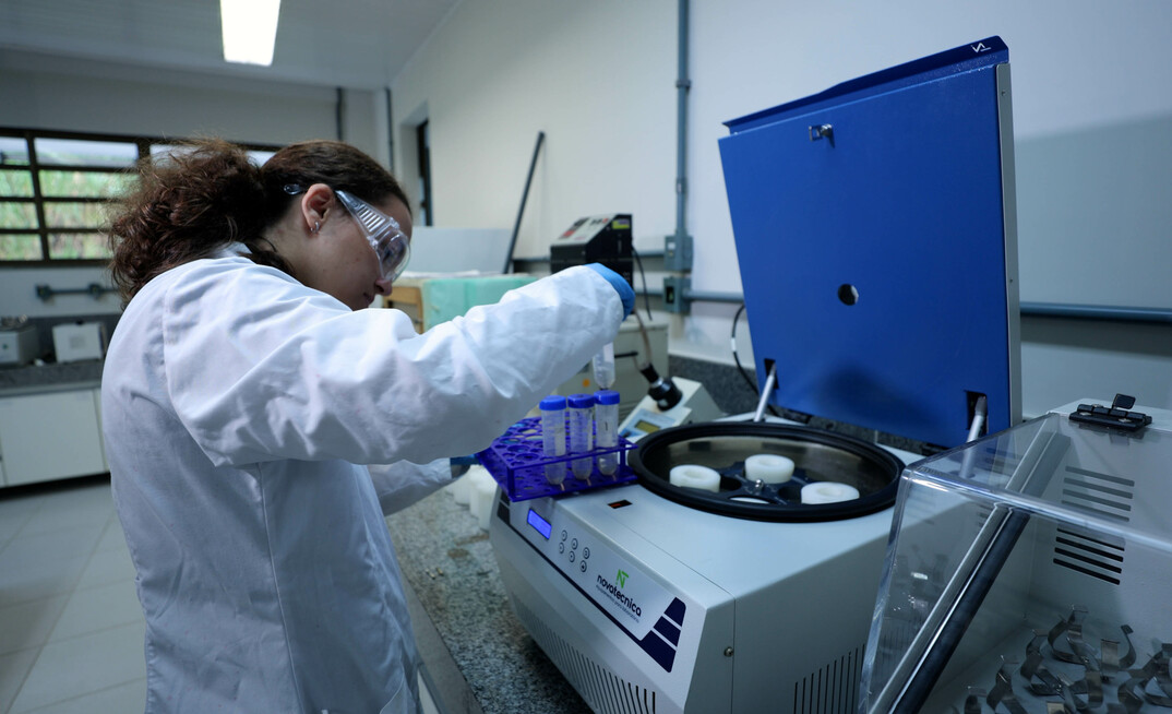 Na UFV, o bagaço de cana-de-açúcar é usado como biomassa e o nióbio atua aumentando a velocidade da reação química