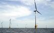 Shell to join wind farm project