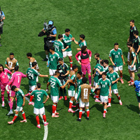 FIFA WC: Some interesting stats, figures from Mexico-South Africa tournament opener