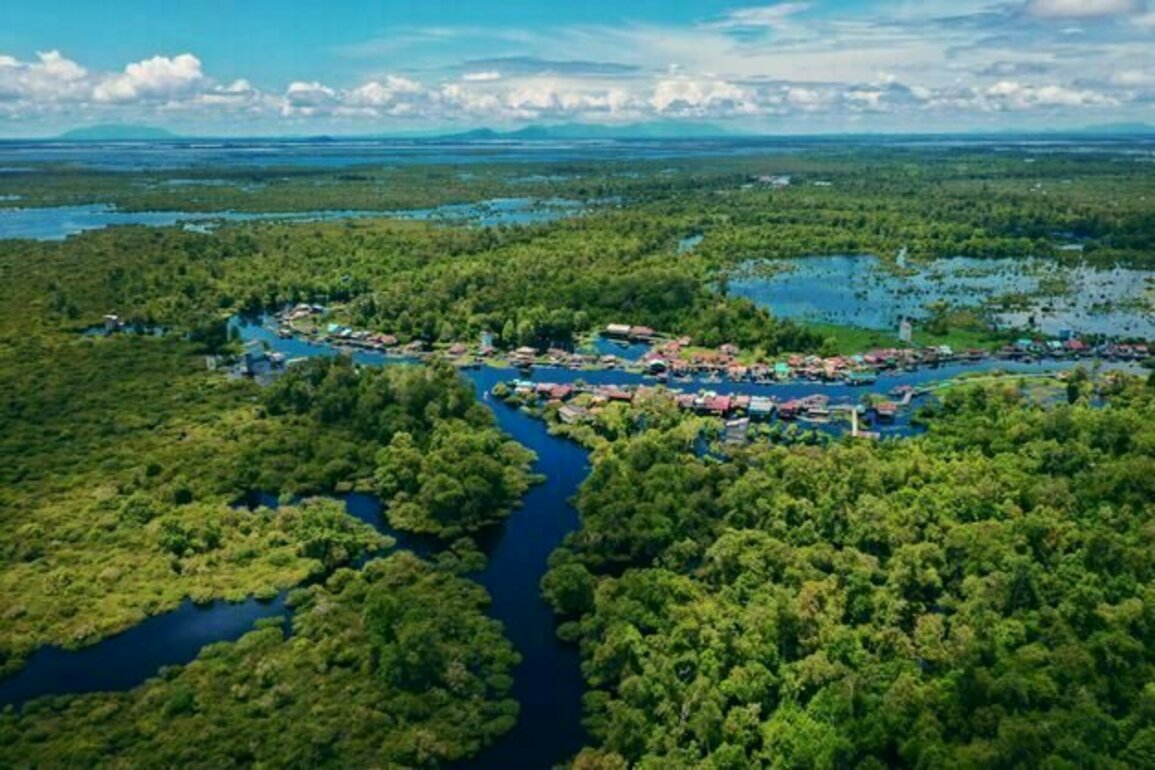 Peatlands and mangroves: Southeast Asian countries must protect these major carbon pools to boost climate ambitions