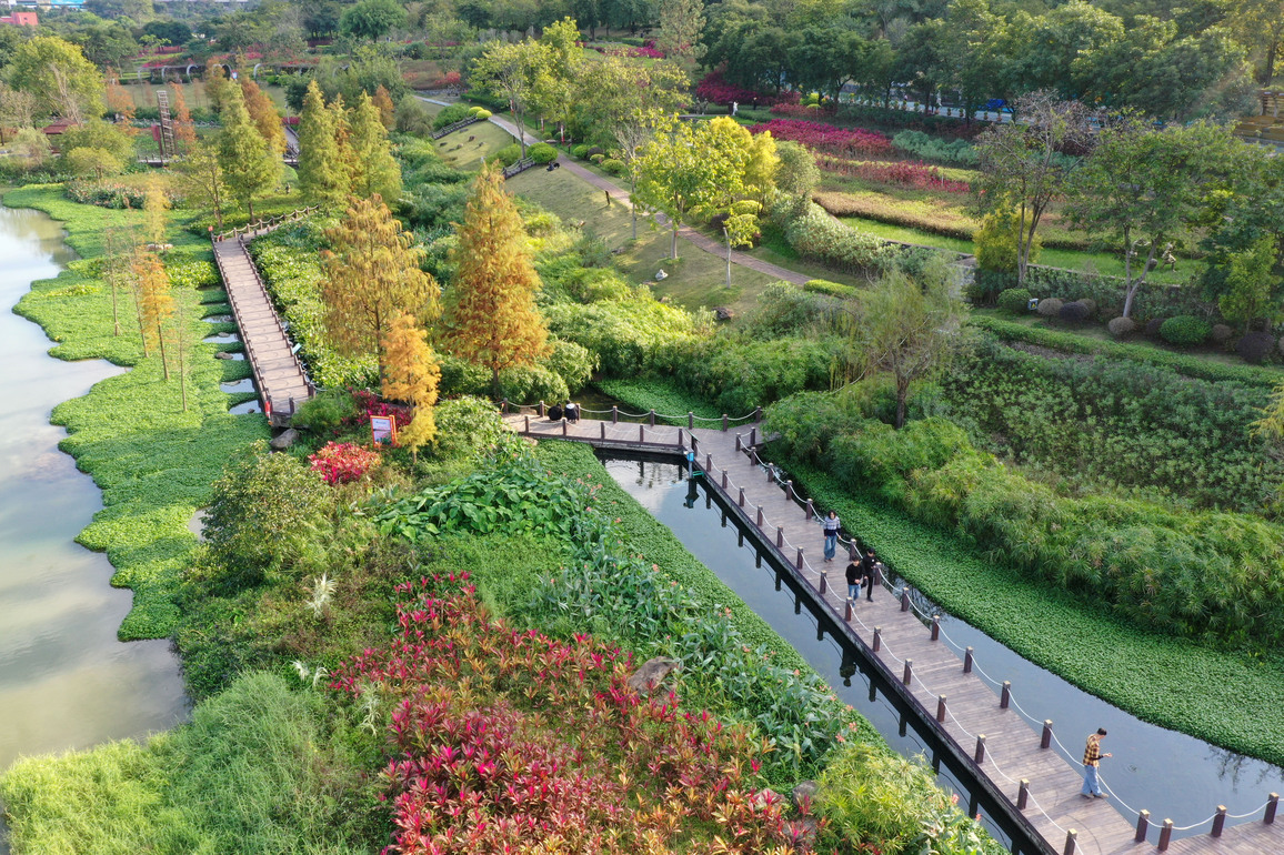 (EnchantingGuangxi) CHINA-GUANGXI-NANNING-NAKAO RIVER WETLAND PARK (CN)